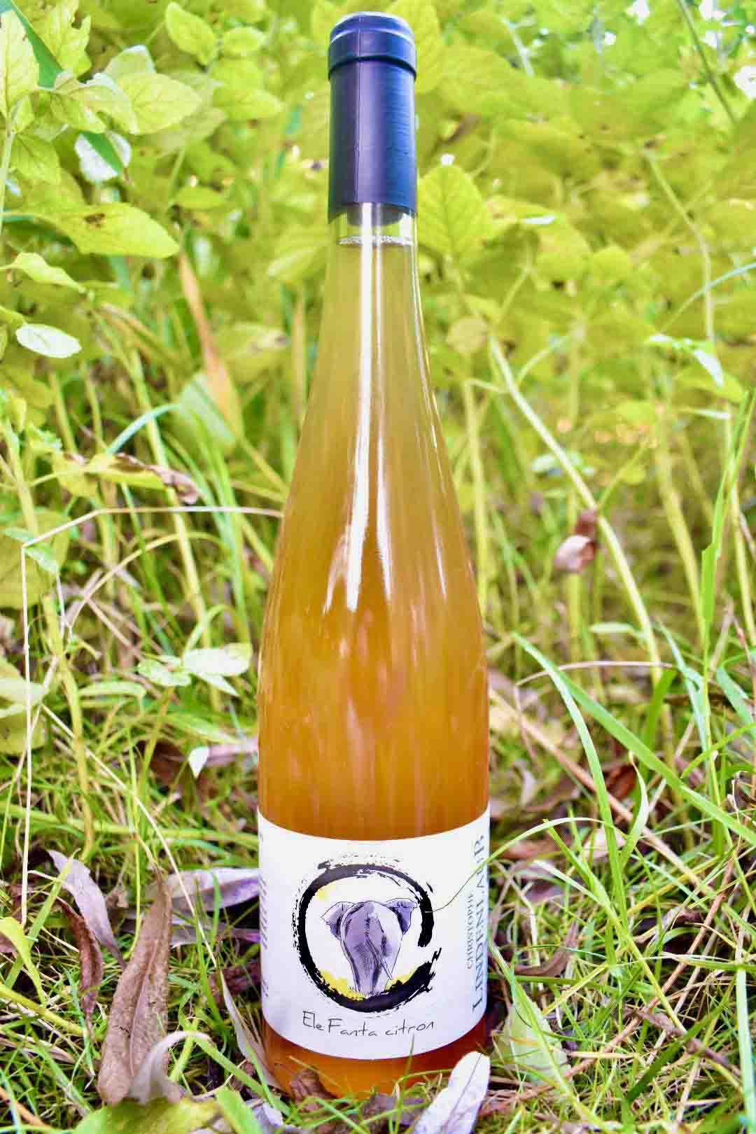 Christophe Lindenlaub - Elefanta Citron - Naturwein