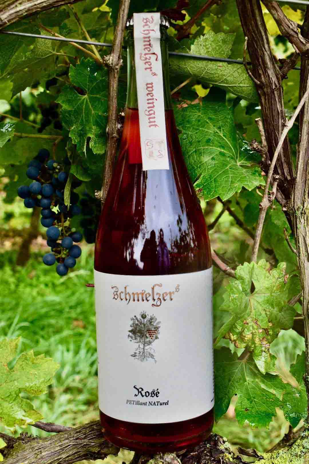 Schmelzers Weingut - Pet Nat Dion Rosé - Naturwein