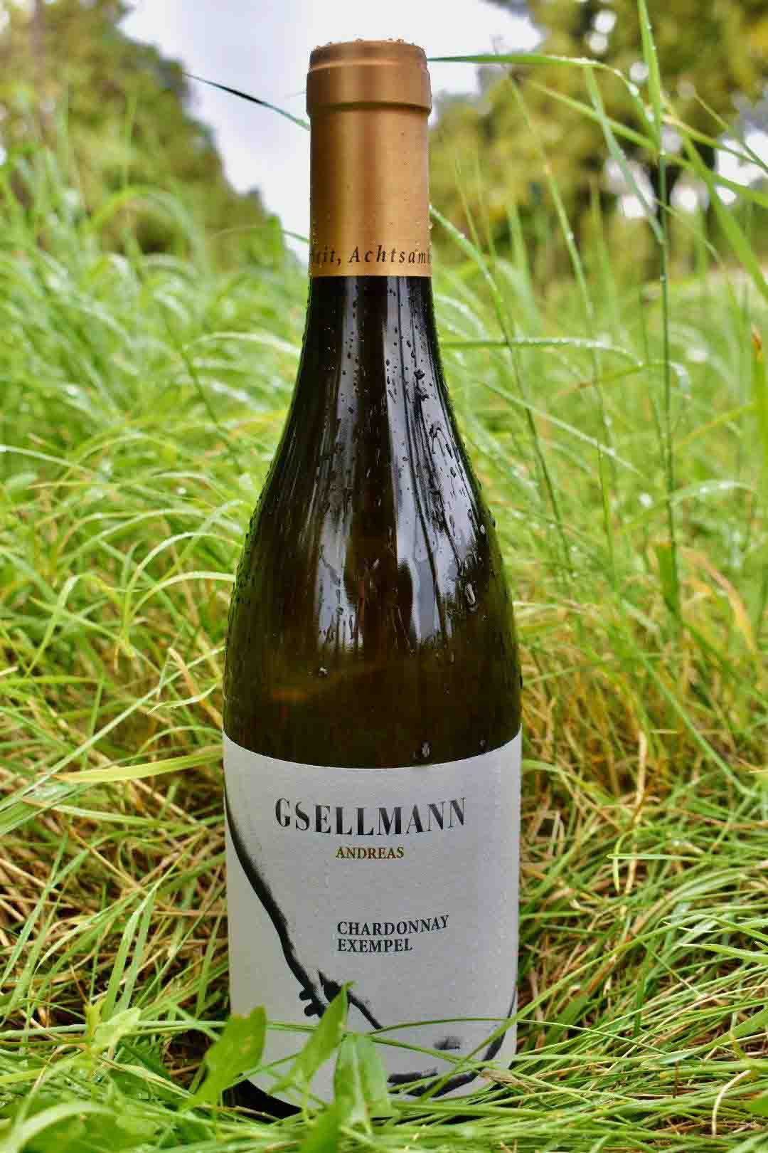 Andreas Gsellmann - Chardonnay Exempel - Naturwein