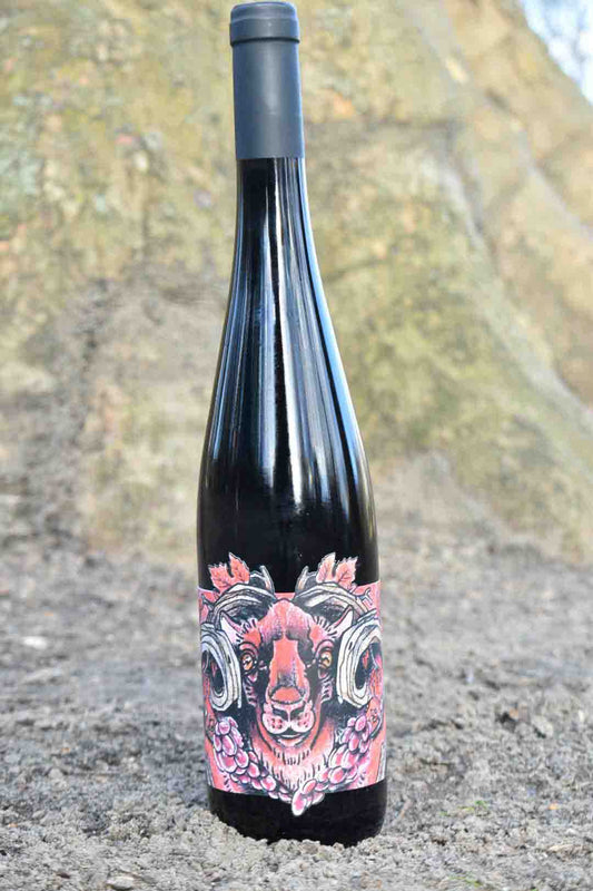 Domaine Muller-Koeberlé - La Geiss Pinot Noir - Naturwein
