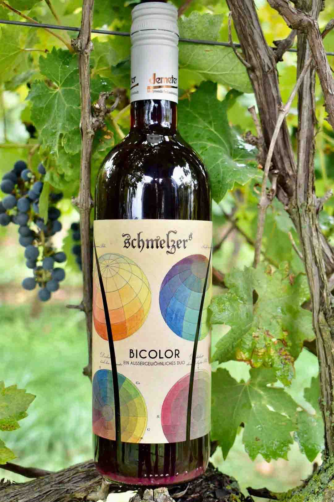 Schmelzers Weingut - Bicolor - Naturwein
