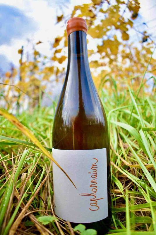 Weingut am Schlipf - Capharnaüm - Naturwein